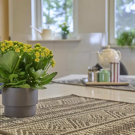 T Achterhoes Дом отдыха