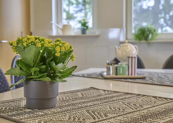 T Achterhoes Semesterbostad