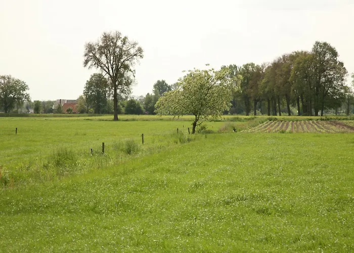 Semesterbostad T Achterhoes Neede